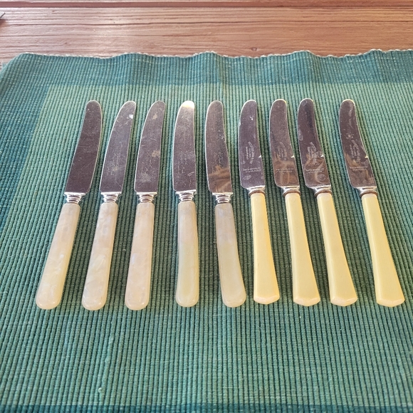 Set of Nine Sheffield Stainless Steel Faux Bone Handled Knives - Picture 2 of 9